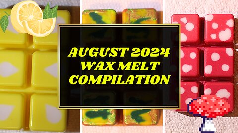 ✨August 2024 Wax Melt Compilation✨