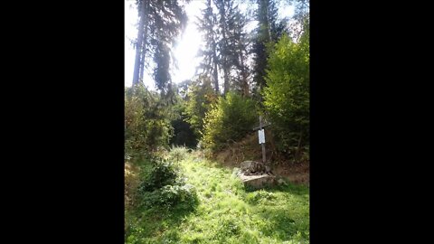 STELLVERTRETEND REUE ERWECKEN FÜR ALLE STERBENDEN