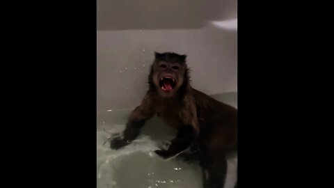 Bath time!!