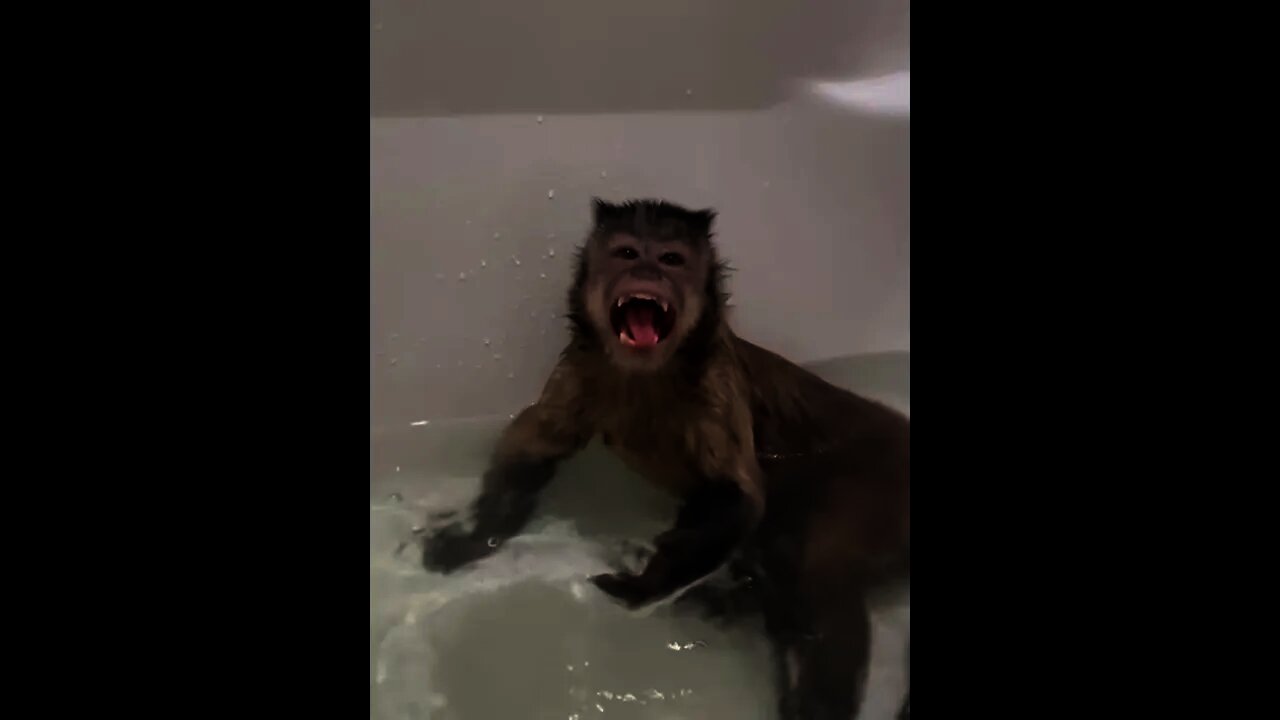 Bath time!!
