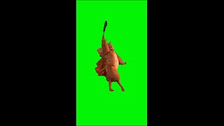 Squirrel Ballet Dancing | Green Screen