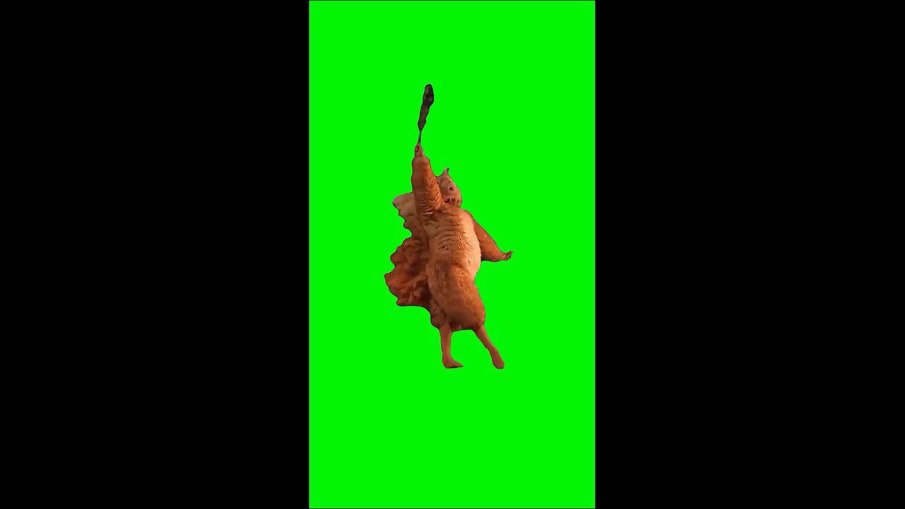 Squirrel Ballet Dancing | Green Screen