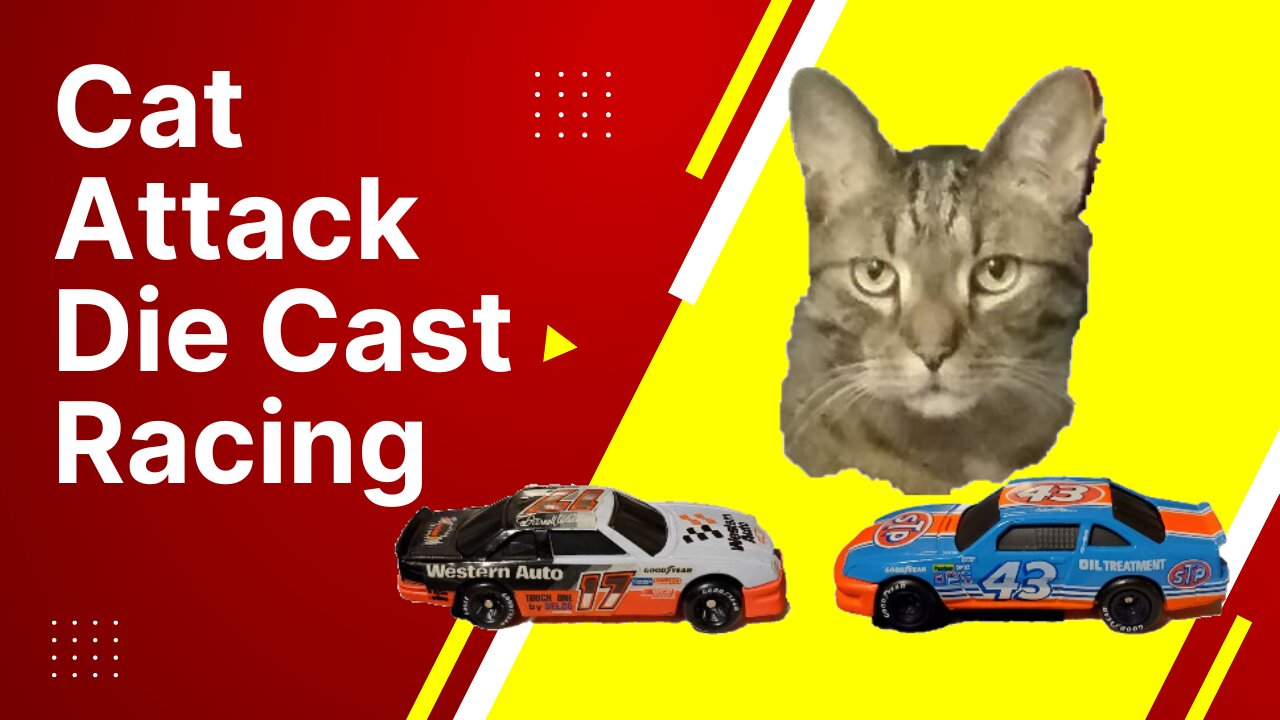 Cat Watches Hot Wheels Race And Wrecks The Track ( 3 Drag Races Between 2 Diecast Toy Cars Racing )