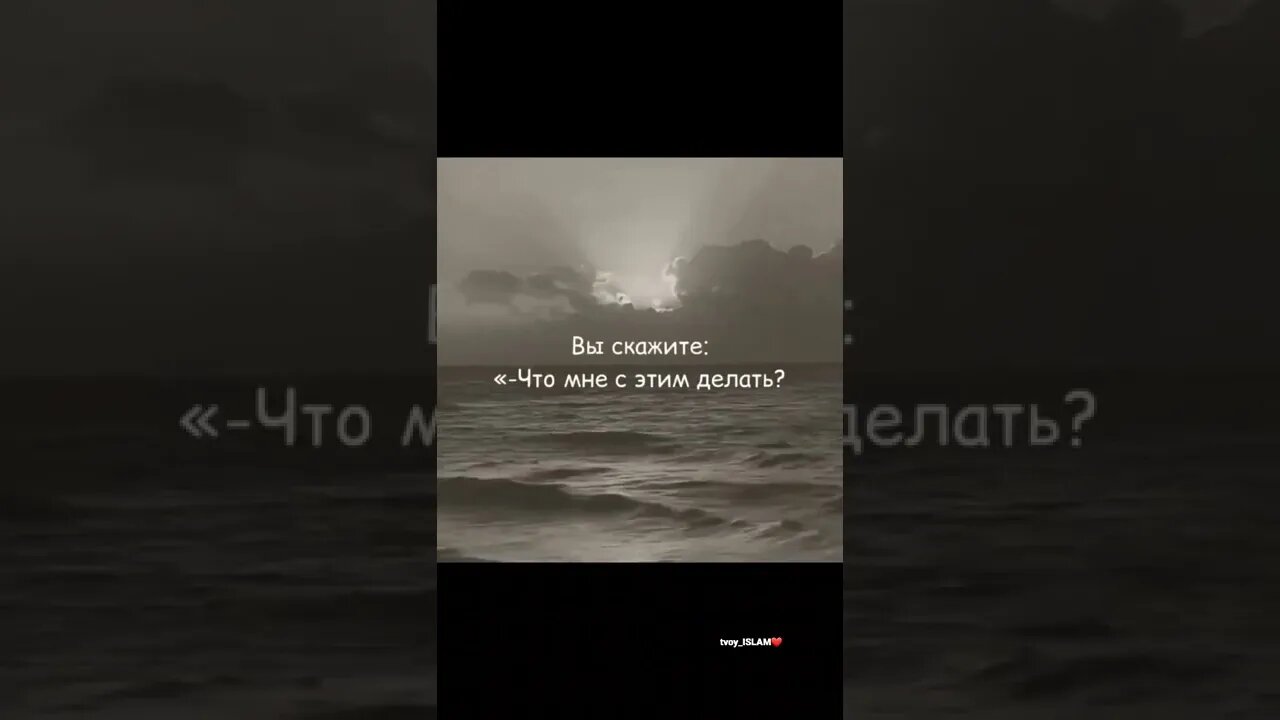 Это потому, что Аллах – Покровитель верующих, а у неверующих нет покровителя.(47:11)