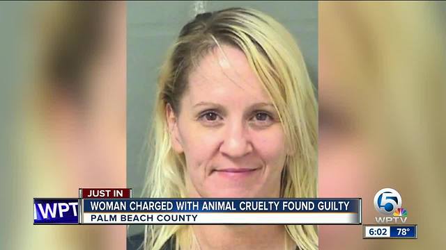Woman found guilty of animal cruelty after abandoned dog dies