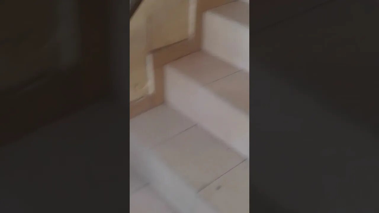 اكتمل منزلي لجديد بس سيارة دعستها أخريMy new house was completed, but my car was run over by another