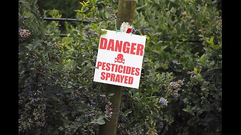 Chlormequat: What you need to know about this problematic pesticide