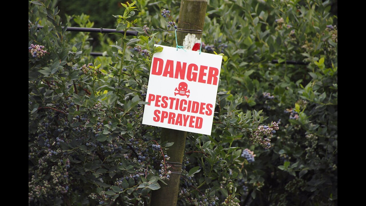 Chlormequat: What you need to know about this problematic pesticide