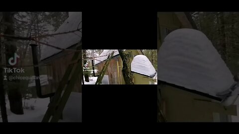 #cabin #ytshortsvideo #ytshortscanada #find #comingsoon #mystery #discovery