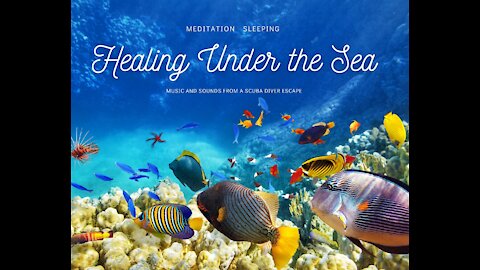 2021 - SCUBA DIVER DREAM - nhạc thư giãn ,relax, calming music, study, meditate, sleep music, mantra