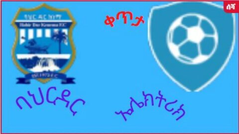 Live bahirdar vs Electric