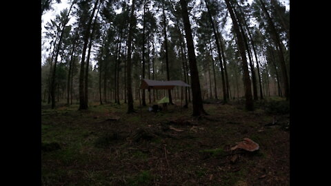 Woodland night vlog. talking about my mental health