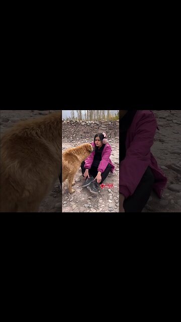 Trust Adah Sharma to do this 😍Behind the Scenes of #TheKeralaStory