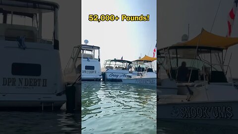 They’re In A Different Tax Bracket… #boat #ad #taylormadepartner @Lippert.