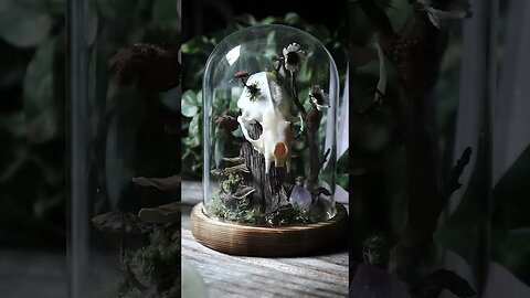 💀 Mushroom Skull Curiosity Sculpture II 💀