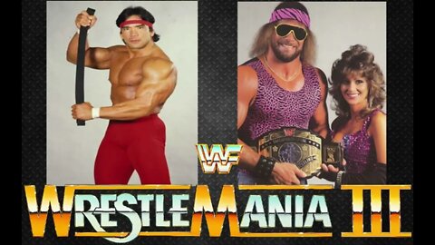 WWE Superstar Lanny Poffo Shares his thoughts on his Brother Randy Savage