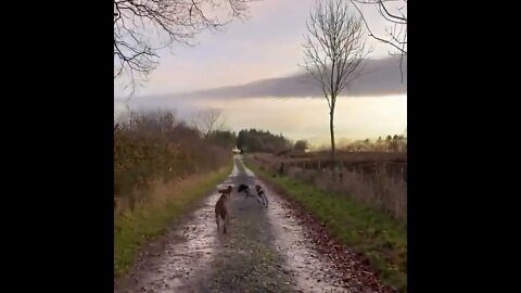 Exercise Time. Venus Ranch Style.