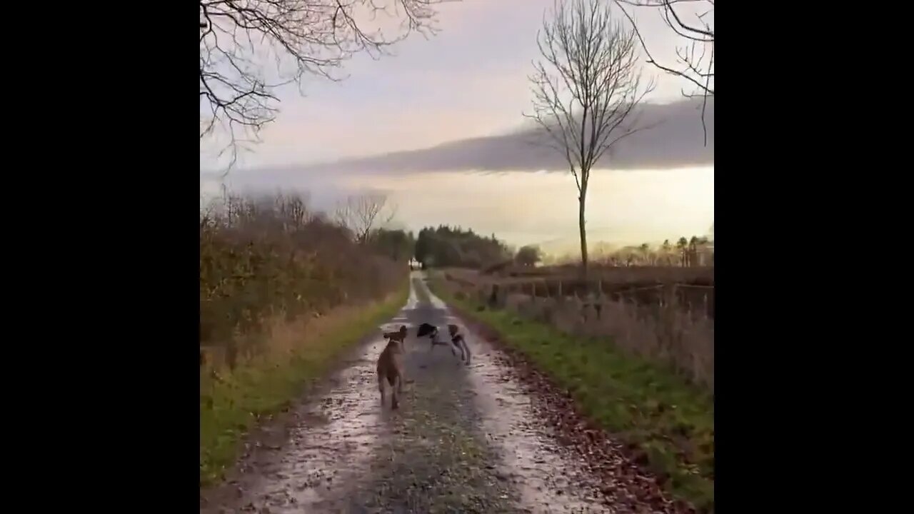 Exercise Time. Venus Ranch Style.