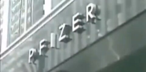 1545. ⛔PFIZER exposed past.