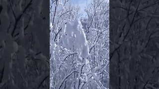David Sweetlow - The Way Of Snow #shorts