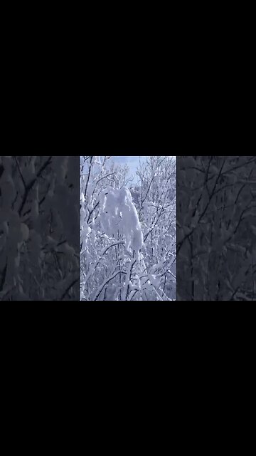 David Sweetlow - The Way Of Snow #shorts