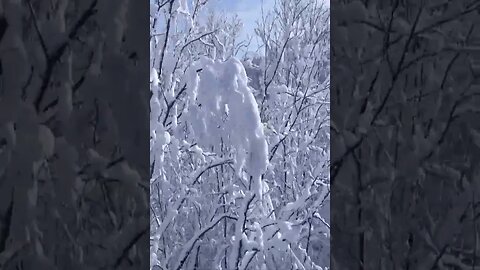 David Sweetlow - The Way Of Snow #shorts