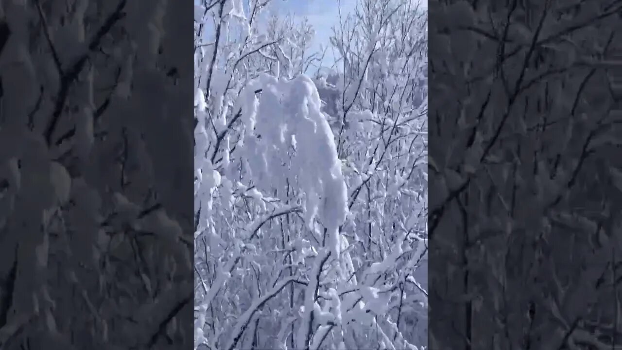 David Sweetlow - The Way Of Snow #shorts