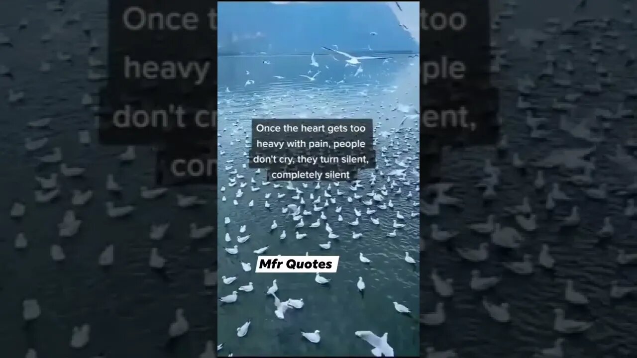 ONCE THE HEART GETS TOO HEAVY WITH PAIN....