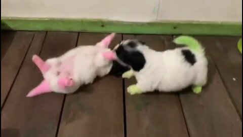You will definitely agree that this green and pink dog is too cute