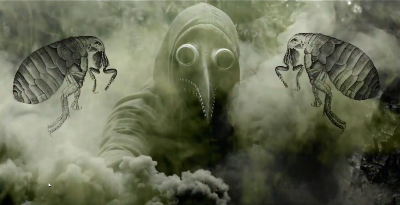 ENEMIES WITHIN Stay Focused