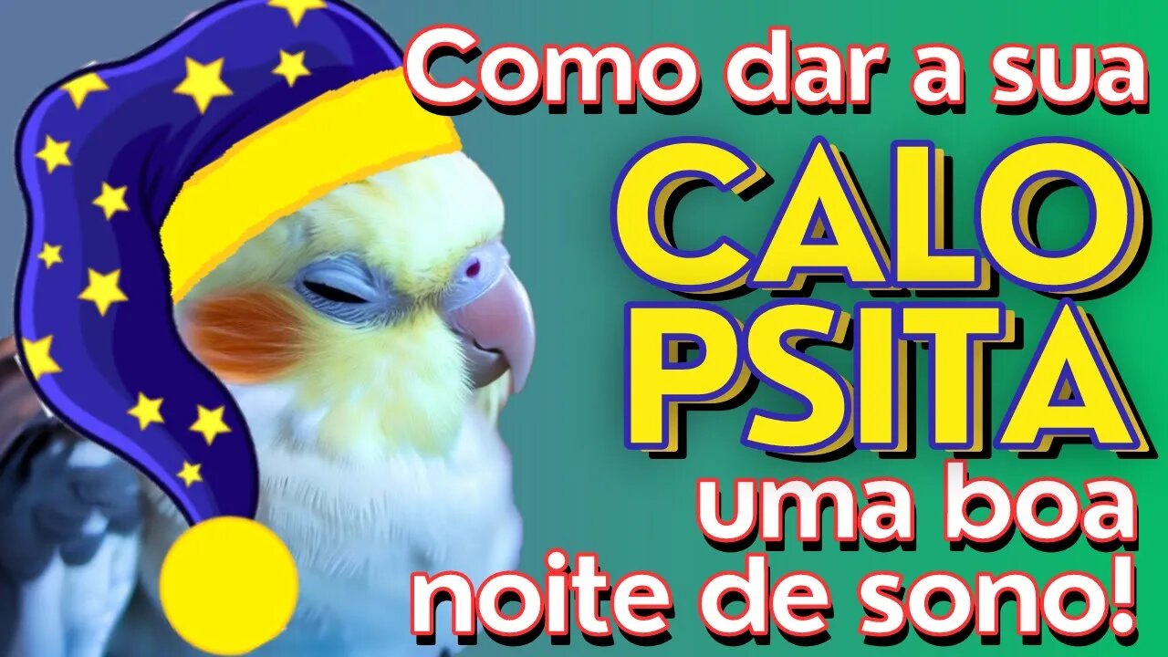 COMO DAR A SUA CALOPSITA UMA BOA NOITE DE SONO