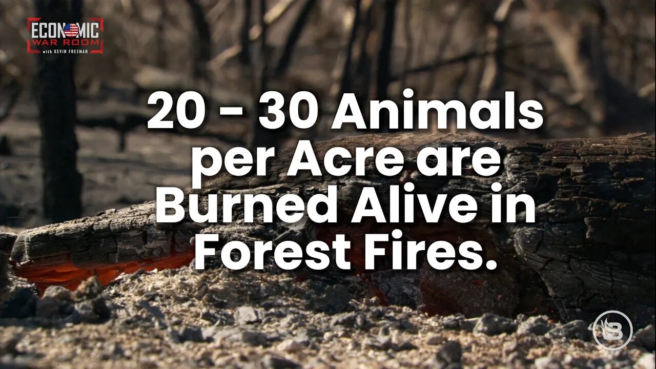 The stark difference between Federal and State land management