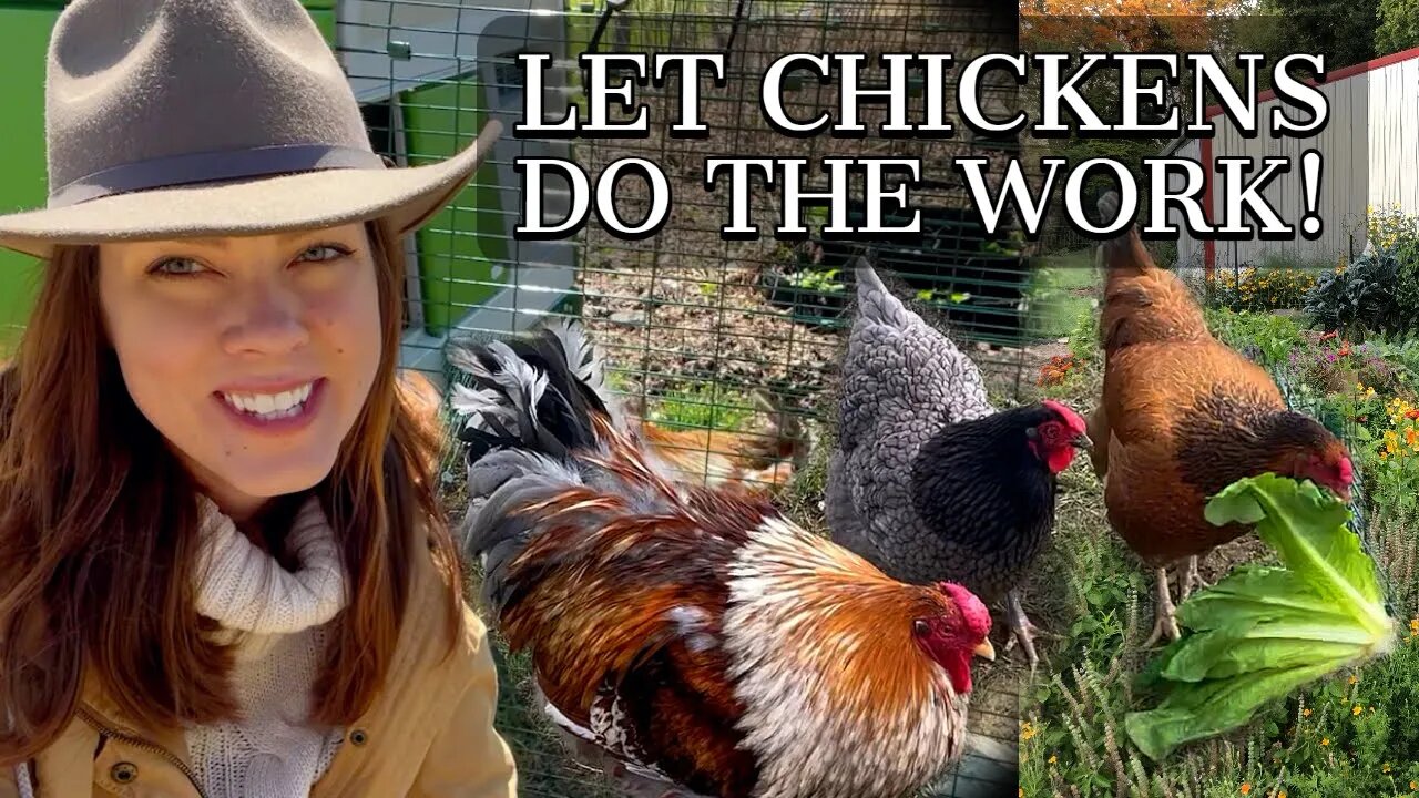 Using Chickens in the Garden & A New Omlet Eglu Coop: Part 1