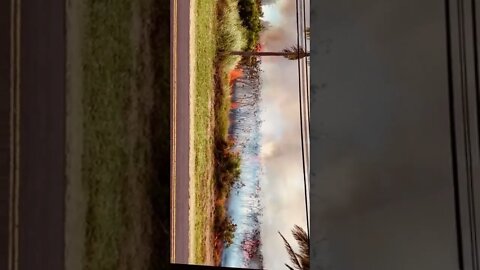 DaamnKam - July2022 - ‘Forest’ fire frequency & furious temperatures as Climate change continues