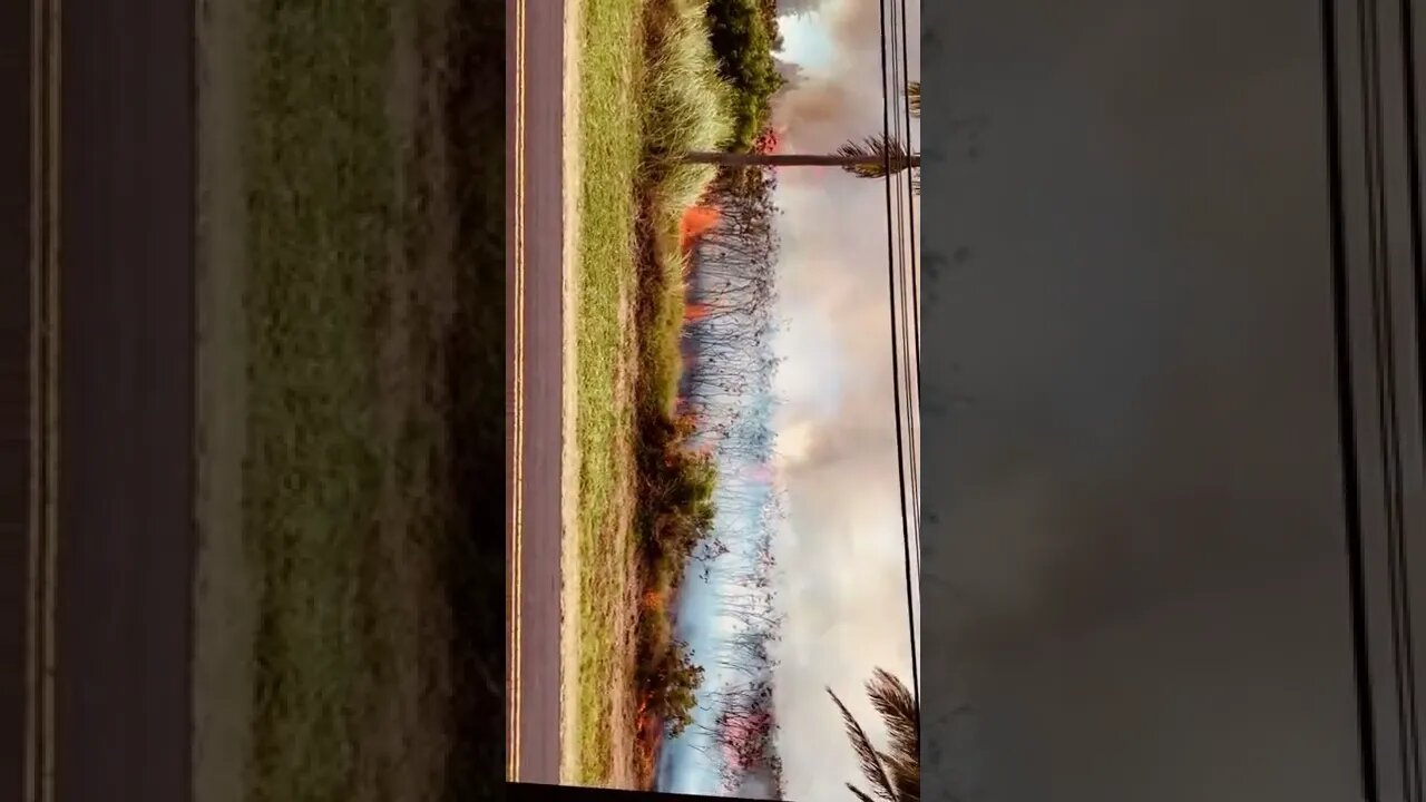 DaamnKam - July2022 - ‘Forest’ fire frequency & furious temperatures as Climate change continues