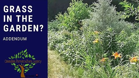 Grass in the garden - Addendum. Plus wetland update.