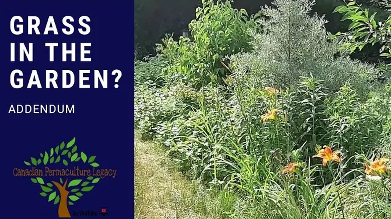 Grass in the garden - Addendum. Plus wetland update.