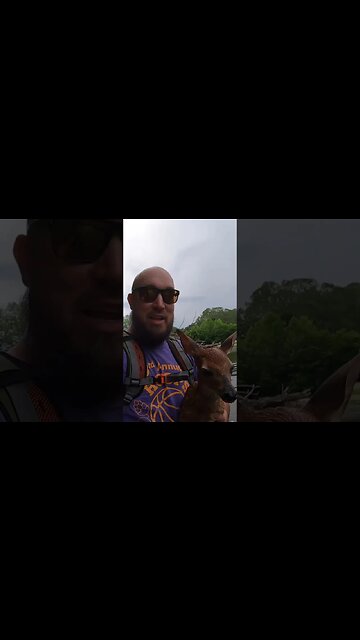 I saved a baby deer from certain DOOM!!!!