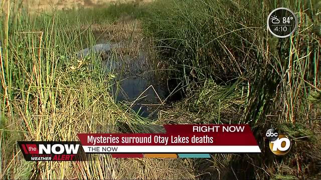 Mysteries surround Otay Lakes deaths