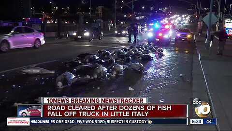 Dozens of tuna fall from delivery truck onto Little Italy street