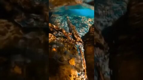 The Best River Sound For Relaxing Soothing Sleep #shorts