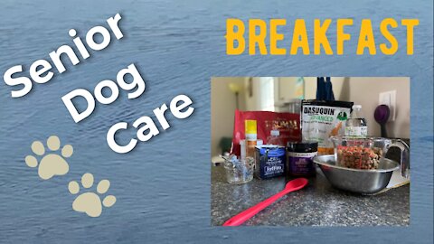 Breakfast at Libby’s | Senior Dog Nutrition