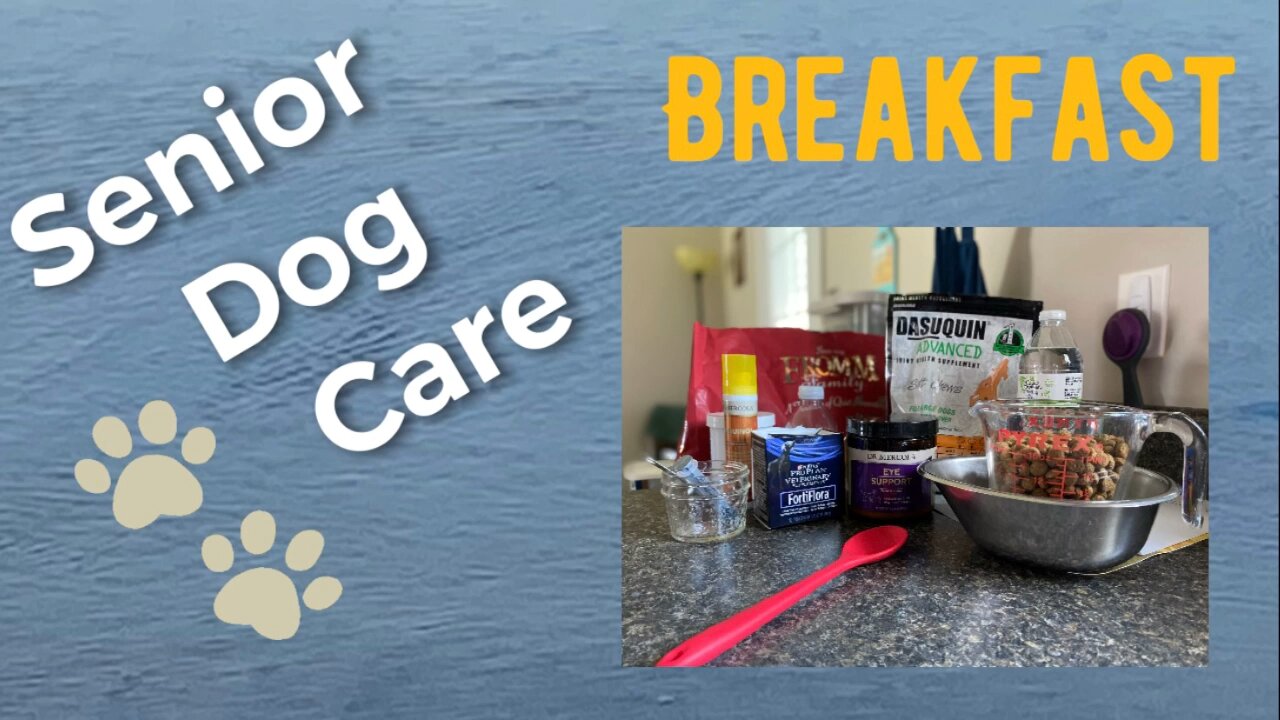 Breakfast at Libby’s | Senior Dog Nutrition