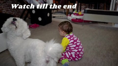 See How Cute doggy playing different dances to impress cute Baby