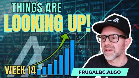 Algorand price rising! | Algorand DeFI experiment, week 14