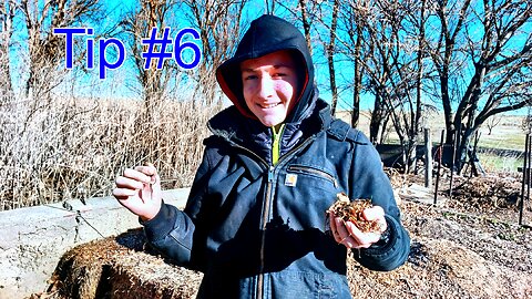 Unlocking Secret Tip #6 for a Vibrant Homestead