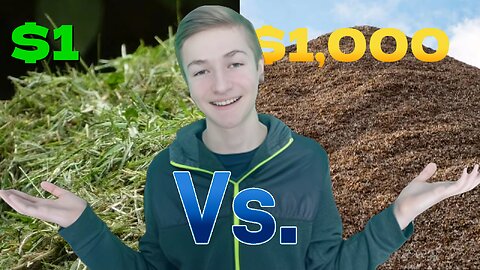 How to Mulch Cheaply - Homesteading Journey