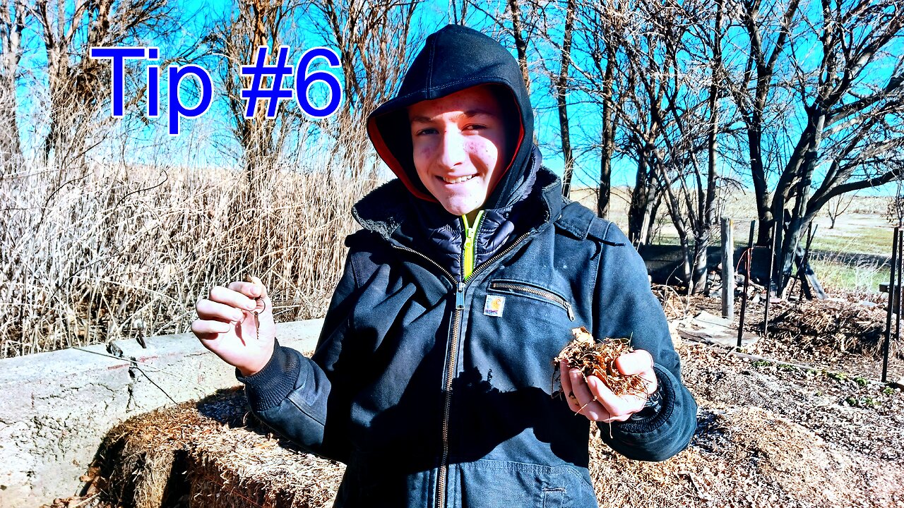 Unlocking Secret Tip #6 for a Vibrant Homestead