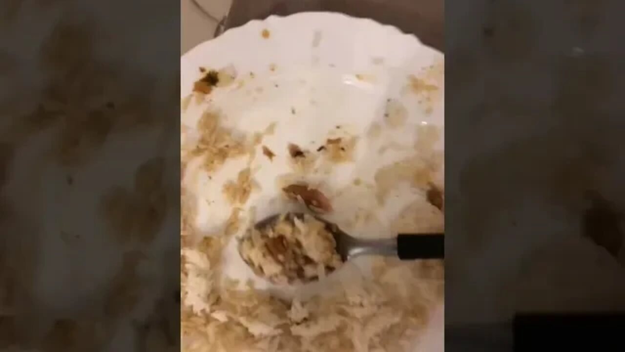 Don't tease your dog 🤣 #dog