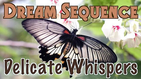 Dream Sequence Delicate Whispers Sleep/Relaxation/Ambient/Meditation Music